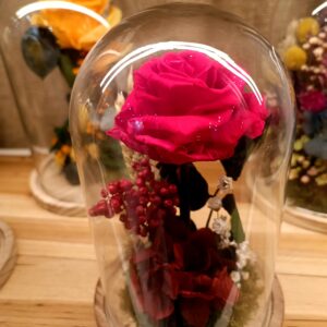 ▷ Compra Flores Preservadas online en Alicante al mejor precio